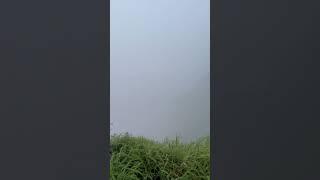 View from the cliff #cliff #beautifulweather #rain #fog #cold