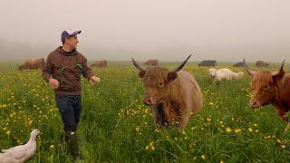 Day in the Life of a Small Farm