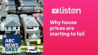 Why house prices are starting to fall | ABC News Daily Podcast