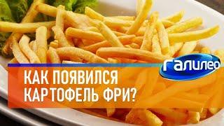 Галилео  Как появился картофель фри?