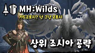 MH:Wilds 몬스터헌터 와일즈 랜스 조시아 공략