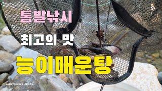 통발낚시  가을철 지렁이를 잡아서 통발에 넣었더니 결과는!!!?  자연인만 먹을 수 있는  능이매운탕 최고의 맛