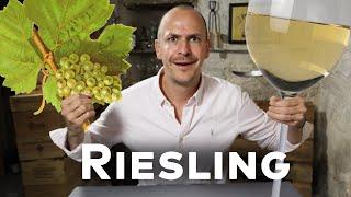 RIESLING - WINE IN 10