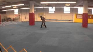 Canine Freestyle Routine: Michaelis Jenn Ringo Novice