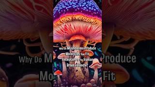  Lion's Mane & Brain Health:#LionsManeMushroom #NerveGrowth #Neuroscience