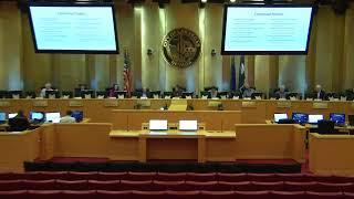 CLV 03-24-2025 Commission for the Las Vegas Centennial Meeting