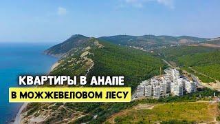 Квартира в Анапе в 5 минутах до Моря среди Можжевелового леса | 10 км до Анапы | ЖК Анаполис