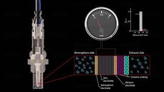 Discover DENSO Lambda Sensor technology