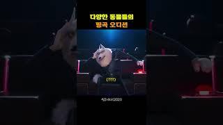 다양한 동물들의 띵곡 오디션