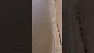 Lonely man on a beach ️ dji mini 3