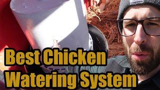 Best Chicken Watering System! - We get 25 Birds!