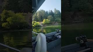 Early Fall Chinook fishing at the entrance of the Little White Salmon River.