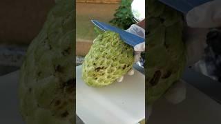 Mysterious fruit! Cutting Sugar Apple