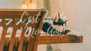 [playlist]  오늘도 고생한 당신, 포근한 저녁이 되길
