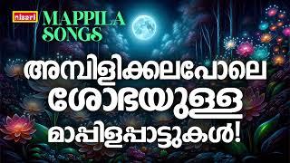 MAPPILA SONGS | Malayalam Mappila Songs | Nisari Mappila Pattukal | Pazhayamappila Songs