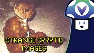 Vinny looks at Strange Cryptid Images