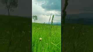 Transylvanian Hilltop Magic: A Breathtaking View of Villages and Vanishing Mountains #transylvania