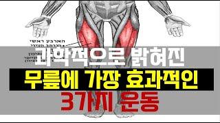 50대 이후 무릎이 아프거나 퇴행성 무릎관절염이 있으면 반드시 해야 되는 3가지 다리운동 | 논문으로 검증된 퇴행성 관절염에 가장 효과적인 하체 근력운동[기본편]