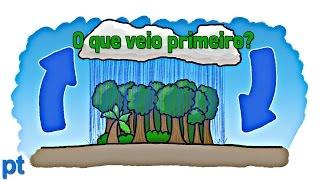 O que veio primeiro: a chuva ou a floresta tropical? | Minuto da Terra