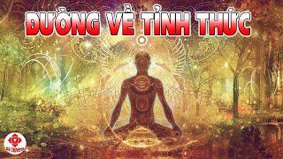 BỐN GIAI ĐOẠN DẪN ĐẾN CON ĐƯỜNG TỈNH THỨC | BA UNIVERSE