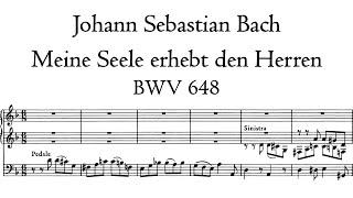 Bach - Meine Seele erhebt den Herren, BWV 648 (Schübler Choral 4) - Sonnenorgel, Goerlitz, Hauptwerk