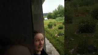 Внезапная гроза и Кошка которая боится грозы: психологические поглажки! ️ #гроза #жизньвдеревне