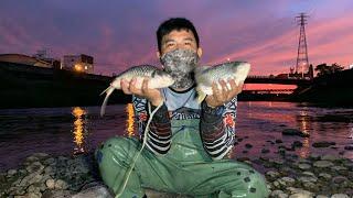 Traditional fishing using casting net huge  fish!