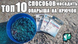 ТОП 10 способов насадить опарыша на крючок