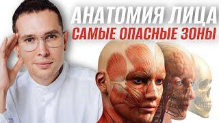 САМЫЕ ОПАСНЫЕ ЗОНЫ НА ЛИЦЕ | полное пособие по анатомии лица #анатомиялица