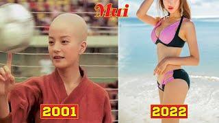 Shaolin Soccer Before and After 2022