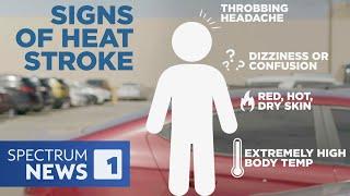 Essential Car Heat Safety Tips for Summer | Weather Explained