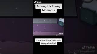 Among Us Funny Moments