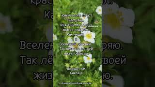 Лёгкость в своей жизни обретаю #позитивноемышление #исцеление #вселенная #психосоматика #нумеролог