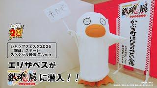 【銀魂】エリザベスが銀魂展に潜入！！【ジャンプフェスタ2025特別映像】