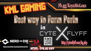 Perin Farm @ Cytex FlyFF