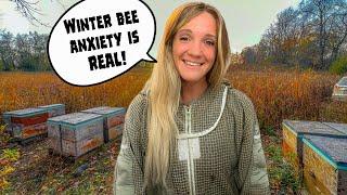 Mastering Overwintering: How to Prepare and Protect Large Beehives #beekeeping