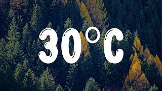 ANNA - 30ºC (Testo/Lyrics)