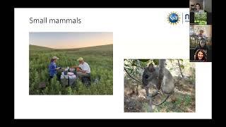 Science Seminar: NEON Mammals Large and Small