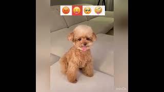qqqq