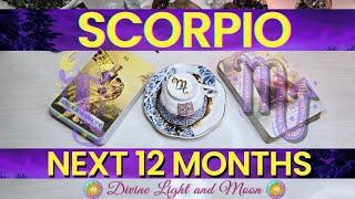 Scorpio 2025! "MAJOR Wish Fulfillment! This Is What You Have Been Waiting For!" 𖥔𖤓𖥔