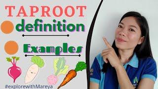 Root| Taproot | Definition ` Examples |  #ScienceLesson | TheQsAcademy