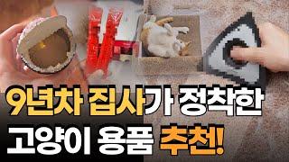 9년차 집사가 추천하는 내돈내산 고양이 용품 베스트 5 / 고양이 간식, 용품 추천