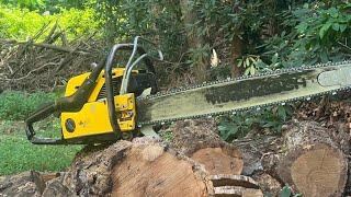 TazMan-Kenny Fuller With John Arnetts Ways. Vintage Muscle Saws