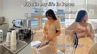 KOREA DIARIES  days in my life in korea: flying alone, exploring seoul, gwangjang market & more