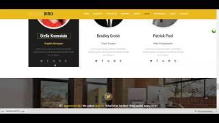 Yellow Bird   multipurpose onepage theme +Download Link