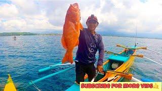 Big Red coral trout|vertical jigging philippines