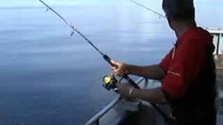 TCE TACKLES Pro Fishing Team