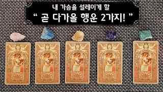 (타로) 내 가슴을 설레이게 할 곧 다가올 행운 2가지!