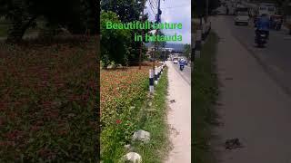 hetauda nature 《yubraj2025》