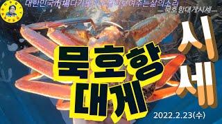 동해묵호항 대게잡이 어선들 대게가 많이 안 잡혀 울상! 가격도 소폭 인상! 견문록삶1196/Mukho port fish market, korea